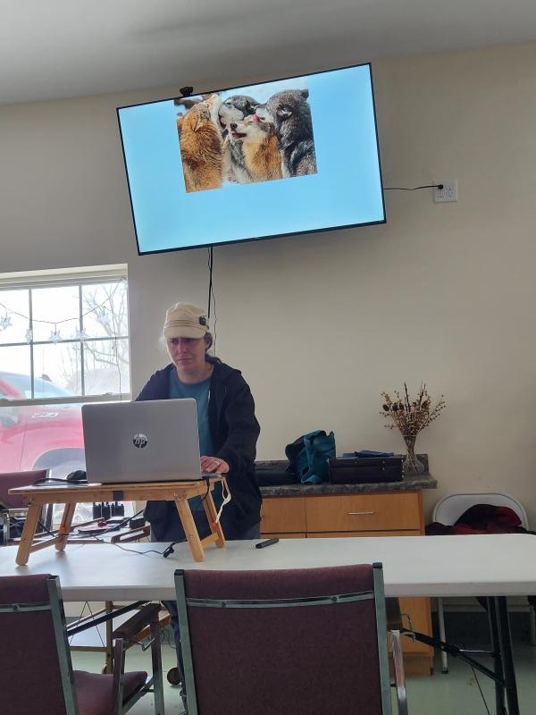 Canine Body Language 2