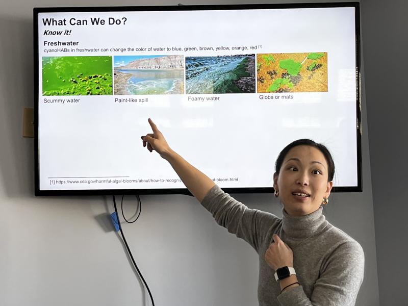 Harmful Algal Blooms-spring 2025